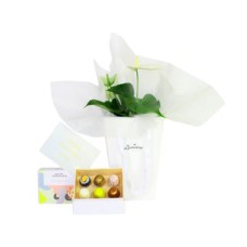 Beautiful Flowers and Chocolate Gift